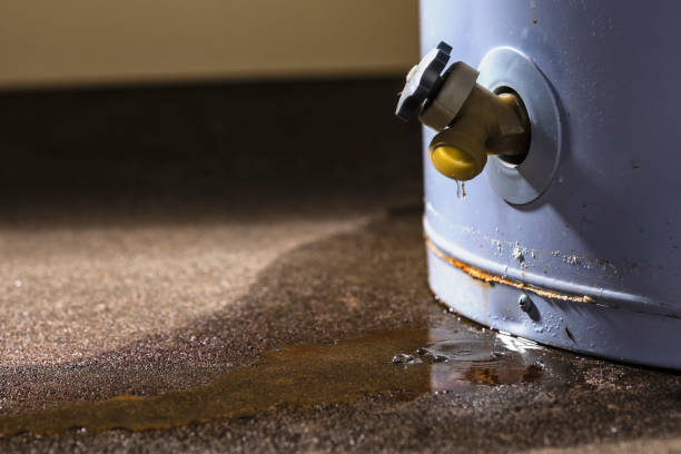 Best 24-hour water damage restoration  in Great Notch, NJ