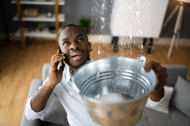 Best Basement water damage restoration  in Great Notch, NJ