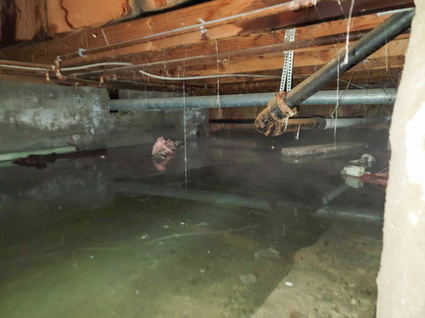 Best Water damage restoration experts  in Great Notch, NJ