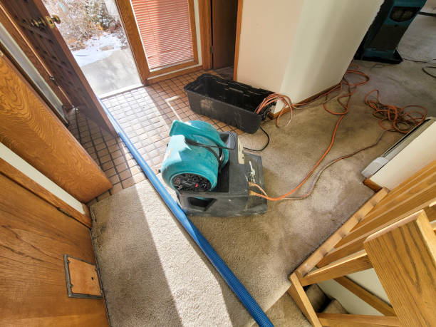 Best Flood damage cleanup  in Great Notch, NJ