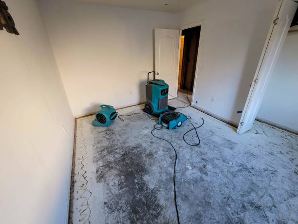 Best Sewage cleanup and water damage restoration  in Great Notch, NJ