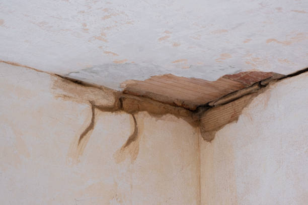 Best Flooded house restoration  in Great Notch, NJ