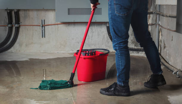 Best Local water damage restoration  in Great Notch, NJ