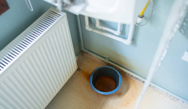 Best Local water damage restoration  in Great Notch, NJ