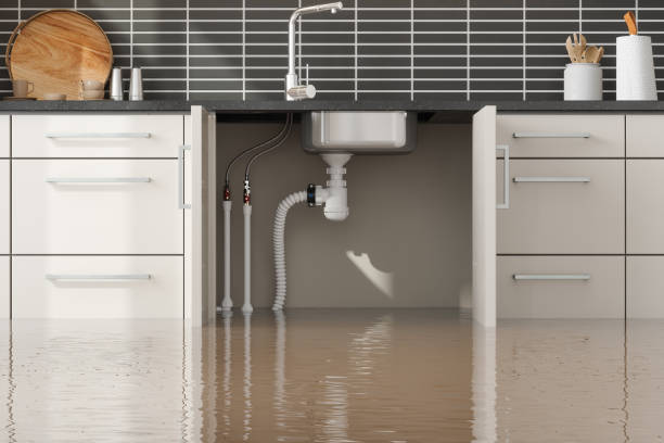 Best Water damage contractors near me  in Great Notch, NJ