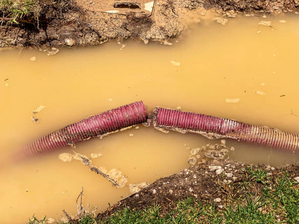  Great Notch, NJ Water damage restoration Pros