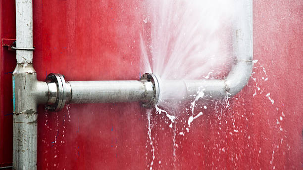 Best Water damage contractors near me  in Great Notch, NJ